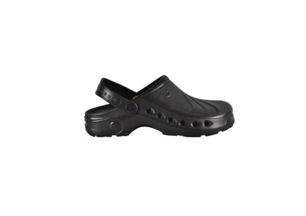 SONIC-BLK nurse clogs